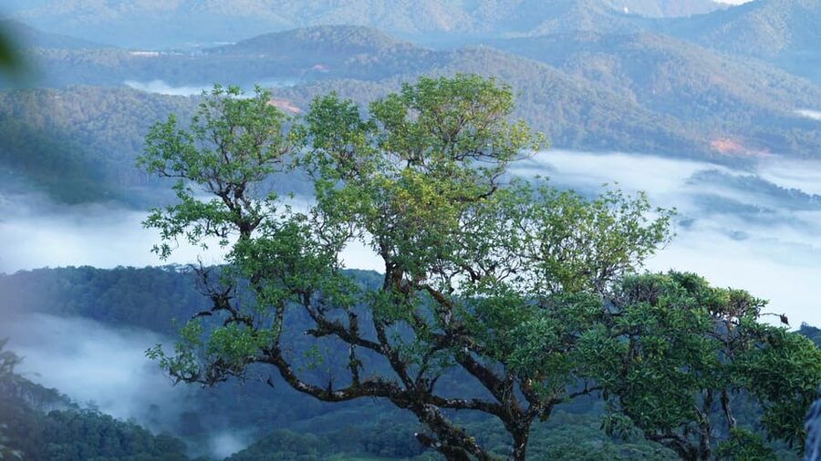 Dalat Trekking to Langbiang mt - Who Should Book This Hike?