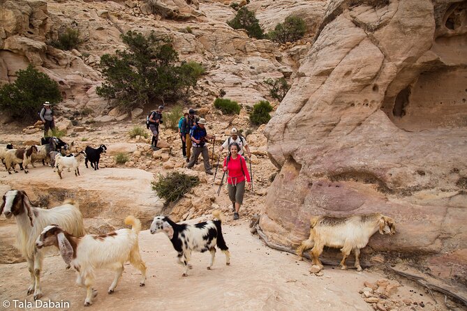 Dana to Petra Trek + Wadi Rum & the Dead Sea - 9 Days - What makes this Jordan trek special