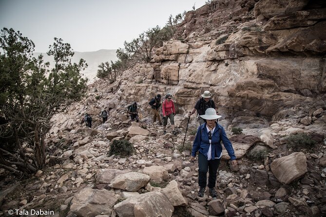 Dana to Petra Trek + Wadi Rum & the Dead Sea - 9 Days - Amman arrival: A soft start before the walking begins