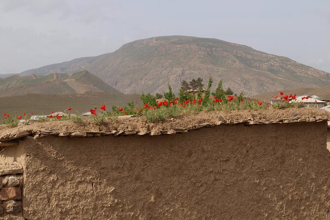 Darband-Boyson Uzbekistan Mountain Trekking 3-Day Private Tour From Samarkand - What the family lodge adds, and what it may lack