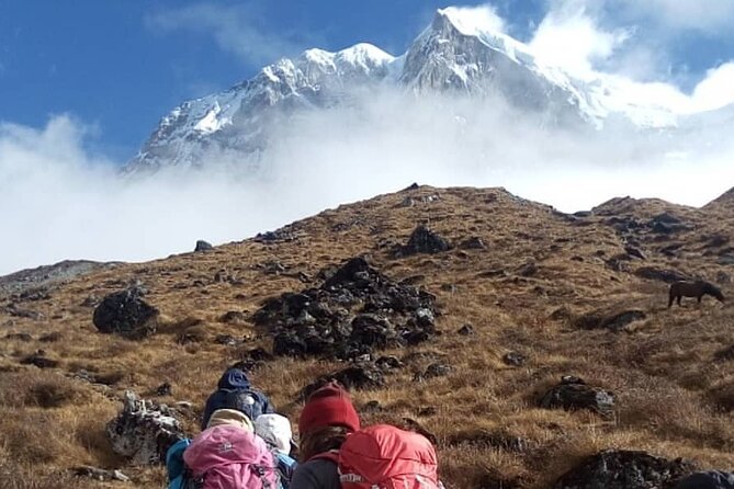 Darjeeling Singhalila Sandakphu Trek - Day 6: Phalut, Samaden, and the drop into forest