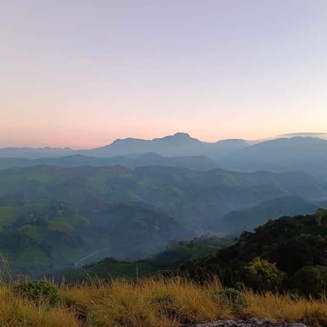 Dawn's Embrace: Sun Rise Trek at Lakshmi Hills, Munnar - Descending through Munnar’s tea country