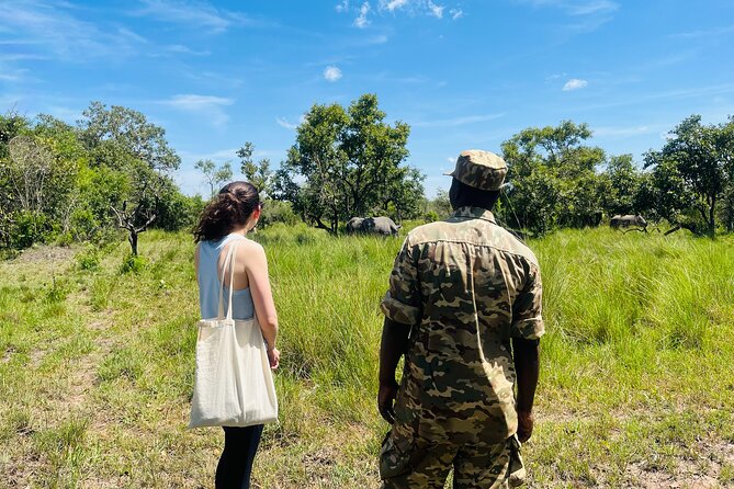 Day Tour Of Ziwa Rhino Sanctuary and Wildlife Ranch - ZIWA RHINO TREKKING - The road from Kampala to Rhino Fund Uganda