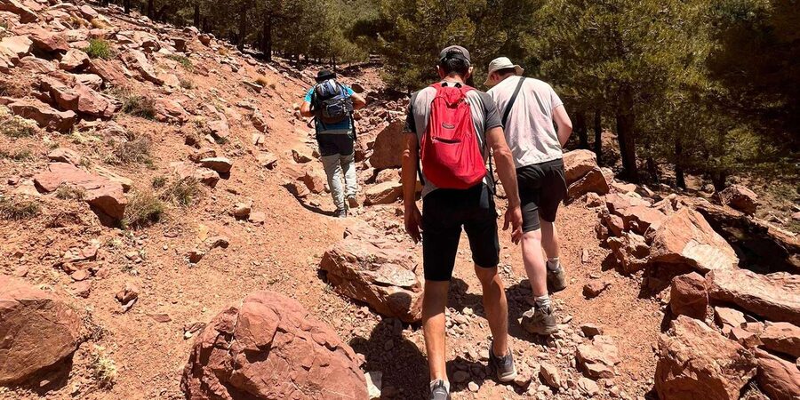 Day Trek In Atlas Mountais & Taoudja Summit 2720m - Guide quality can make or break the day