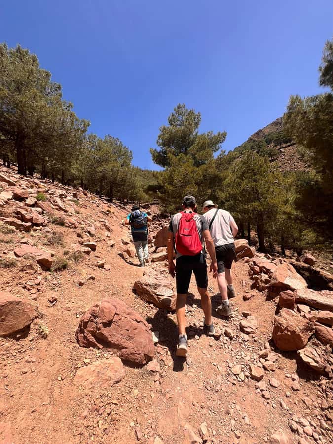 Day Trek In Atlas Mountais & Taoudja Summit 2720m - Leaving Marrakech for Imlil