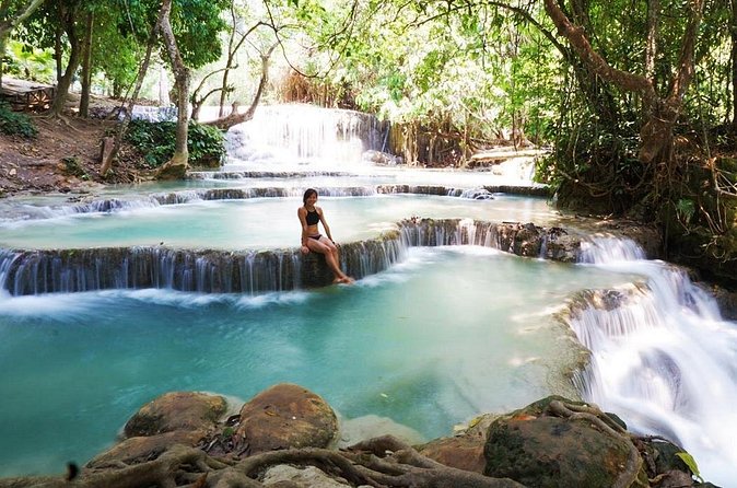 Day Trek to Kuangsi Waterfall and Bear Sanctuary - Luang Prabang full day tour - What the Bear Rescue Center adds