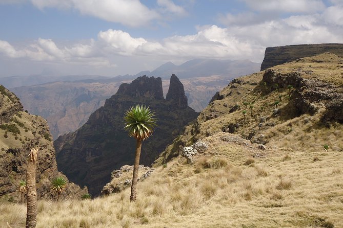 Day trek to Simeien Mountains - Who will enjoy this Simien Mountains trek?