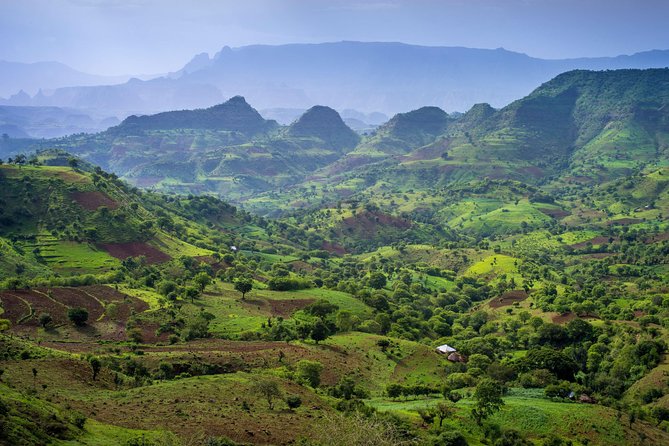 Day trek to Simien Mountain - Leaving Gonder at 8:30 a.m.