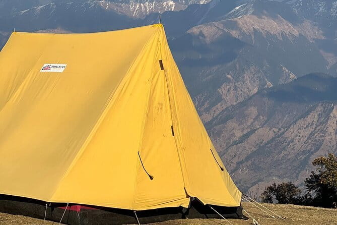 Dayara Bugyal and Surya Top Trek - Day 2: Forest paths and the move to Gui