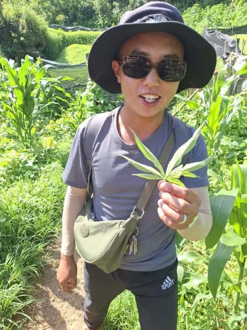 Discover Sapa: 2D1N Trekking Adventure & Cozy LaLa Homestay - An evening at LaLa Homestay