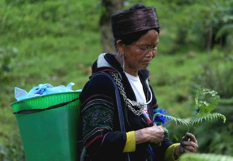 Discover Sapa: 2D1N Trekking Adventure & Cozy LaLa Homestay - What the $39 price really covers