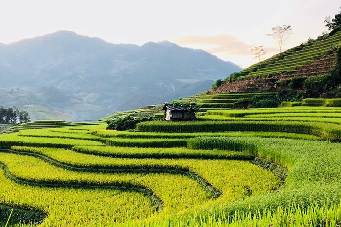Discover the Beauty of Sa Pa: A One-Day Trek - Setting out from central Sa Pa