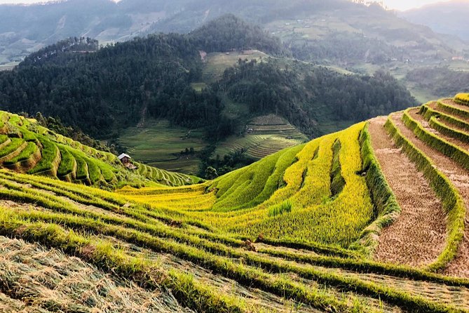 Discover the Beauty of Sa Pa: A One-Day Trek - What the $19 price really covers