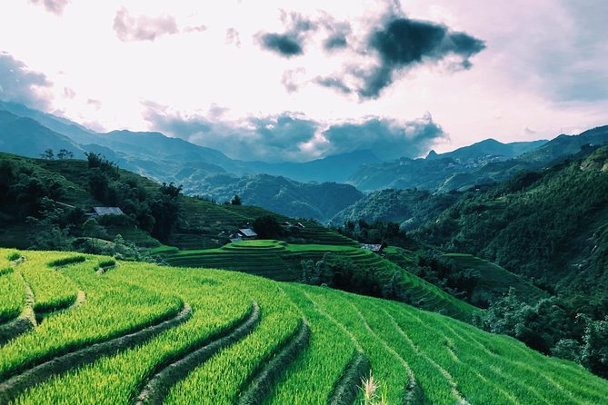 Discover the Beauty of Sa Pa: A One-Day Trek - How hard is the trek?