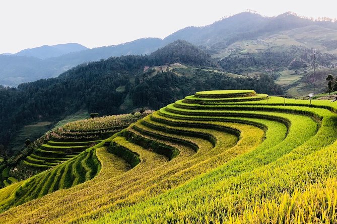 Discover the Beauty of Sa Pa: A One-Day Trek - Booking, cancellation, and who gets the most from it