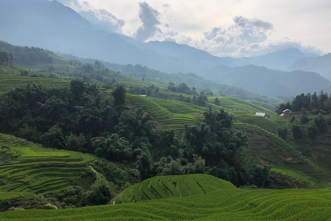 Discover the Beauty of Sa Pa: A One-Day Trek - Y Linh Ho and the first hour in Muong Hoa Valley