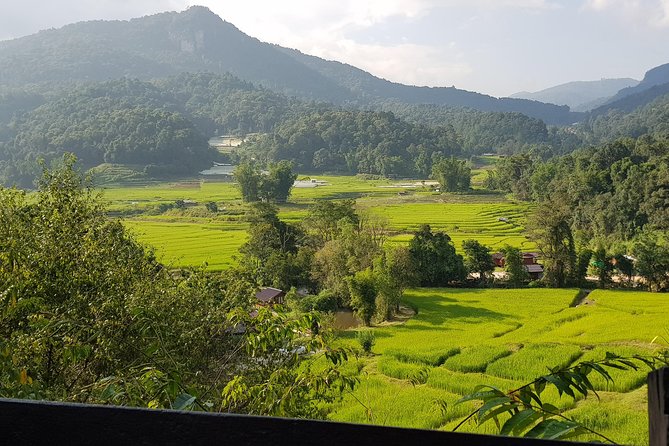 Doi inthanon National Park + 2Hour Fantastic Trekking with Lunch - Groups, guides, and transport