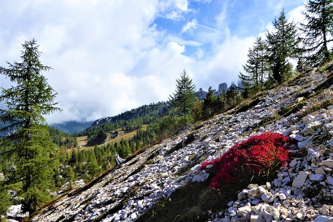 Dolomites Trekking Experience - A professional guide changes the day