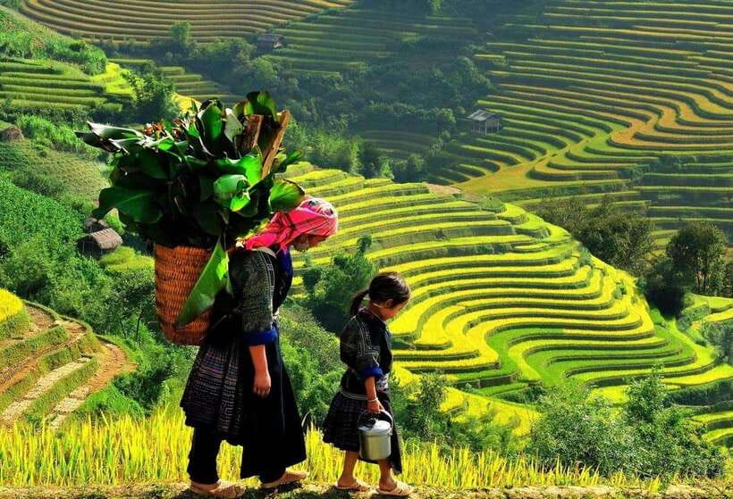 Easy Trek in Sapa mountain : Y Linh Ho - Lao Chai - Ta Van - Key points to know before booking