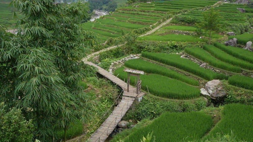 Easy Trek in Sapa mountain : Y Linh Ho - Lao Chai - Ta Van - From Hoang Van Thu to the Muong Hoa Valley