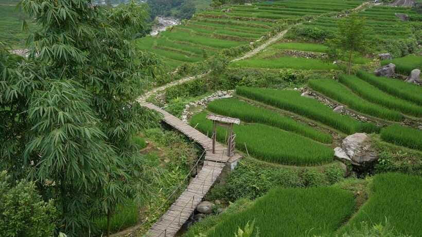 Easy Trek in Sapa mountain : Y Linh Ho - Lao Chai - Ta Van - The return to Sapa and the value of the timing
