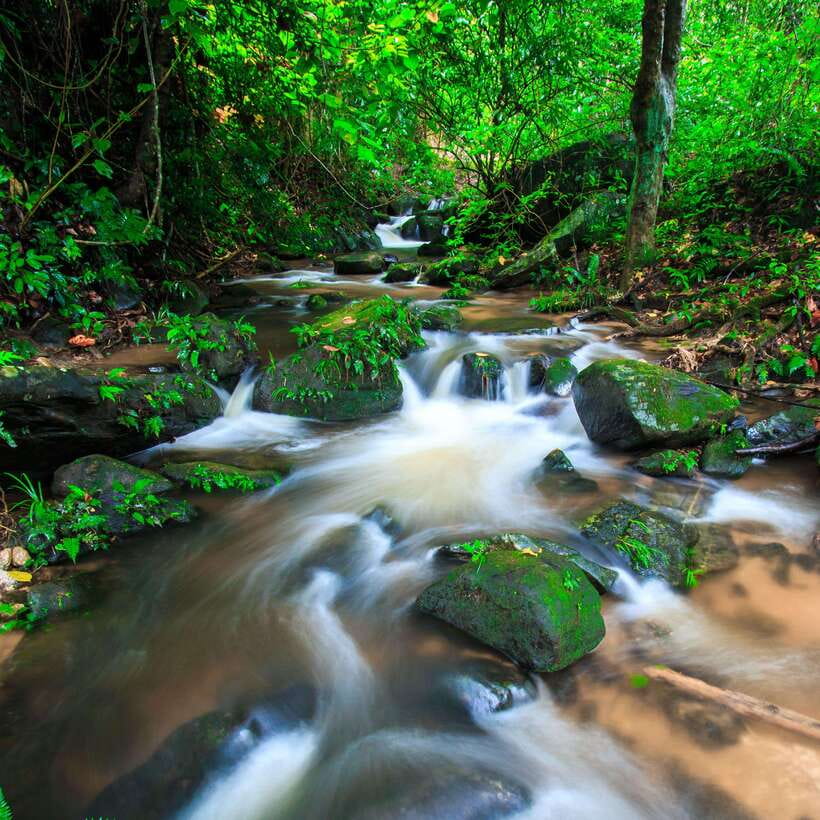 Eco-Friendly: Doi Inthanon & Pha Dok Siew Trekking Day Trip - The King’s and Queen’s Pagodas