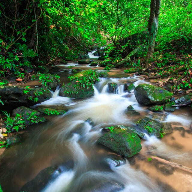 Eco-Friendly: Doi Inthanon & Pha Dok Siew Trekking Day Trip - A quick stop at the Hmong Market