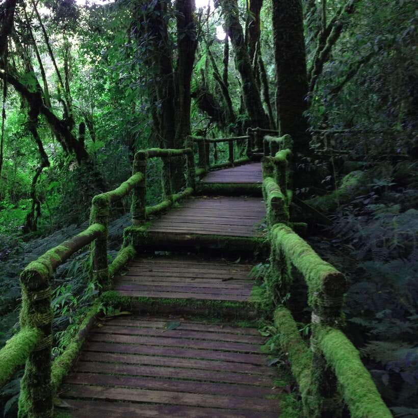 Eco-Friendly: Doi Inthanon & Pha Dok Siew Trekking Day Trip - Wachirathan Waterfall is the payoff