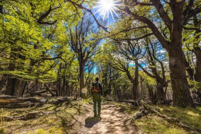 El Chaltén with Trekking from El Calafate