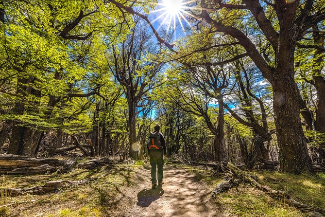 El Chaltén with Trekking from El Calafate - Estancia La Leona: A Useful Roadside Pause