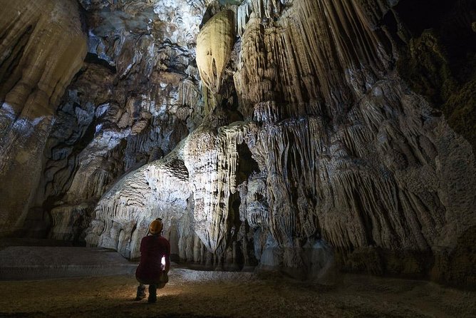Elephant Cave and Ma Da Valley Jungle 1 Day Trek - Why this Phong Nha trek is worth your time