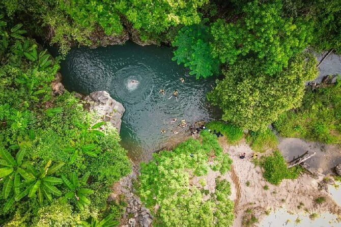 Elephant cave and Mada valley Jungle trek - 1Day - Why This Trek Works for First-Time Jungle Hikers
