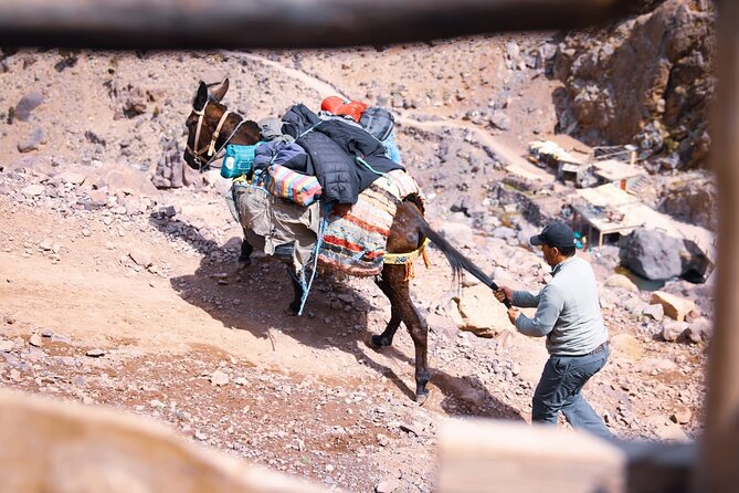 Elite Experience Atlas Mountains Day Trekking - Why this is more than a short Atlas Mountains outing