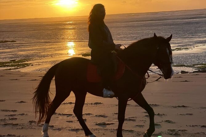 Essaouira Beach Horse Rides &Treks for All Levels - Key points before you book