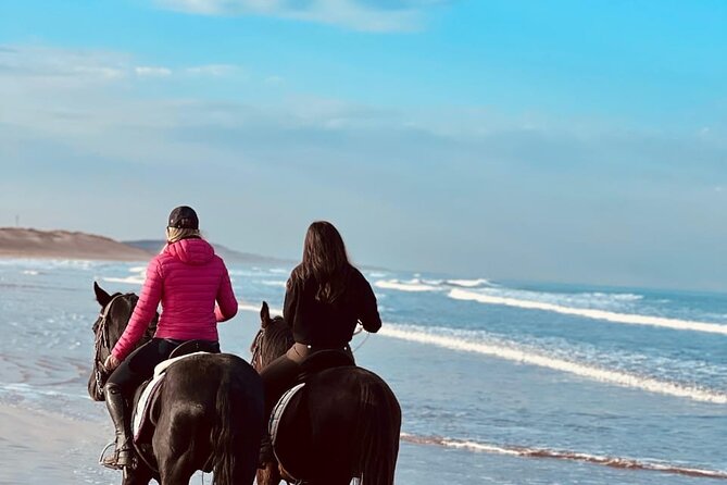 Essaouira Beach Horse Rides &Treks for All Levels - What the one-hour ride feels like
