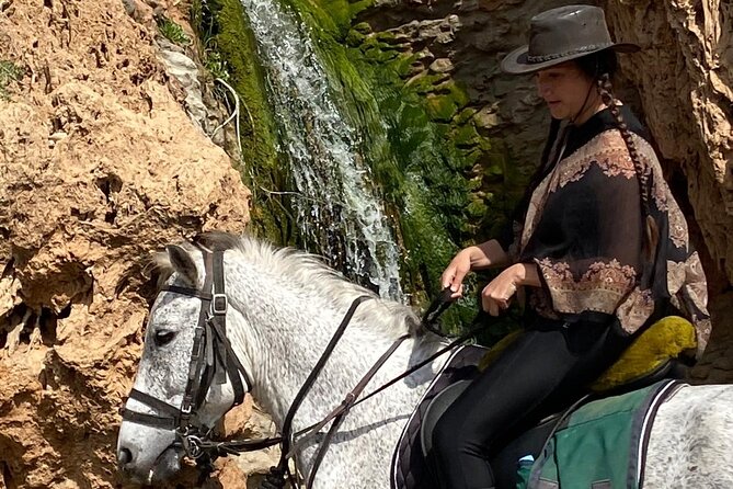 Essaouira Beach Horse Rides &Treks for All Levels - One-hour ride or a longer trek?
