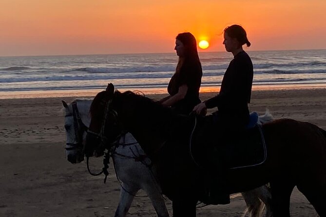 Essaouira Beach Horse Rides &Treks for All Levels - Is $23.24 good value?