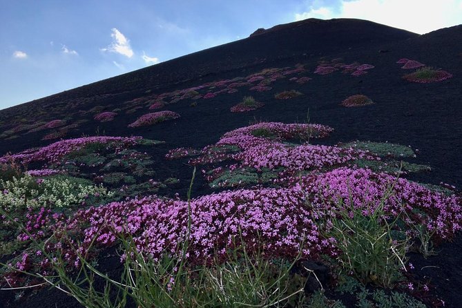 Etna Grantour - 4x4 & trekking - Private tour with lunch included - Silvestri Craters and the 1892 eruption