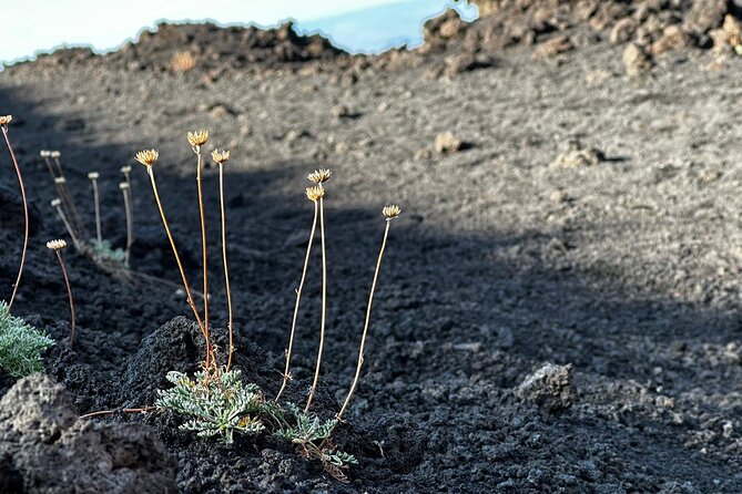 Etna Morning or Sunset - Trek & Lava Tunnel with Gear - What the included gear means for you