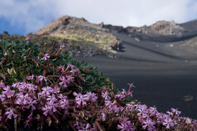 Etna's Hidden Gems - Trek Valle Bove & Lava Tunnel with Gear - Reaching the Valle del Bove
