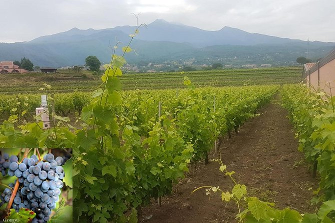 Etna trekking and wine tasting - Walking through a lava-flow cave