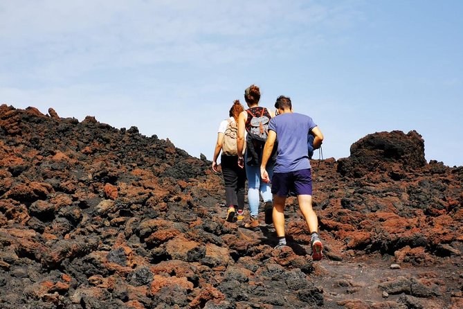 Etna trekking and wine tasting - Who should book this Etna tour?