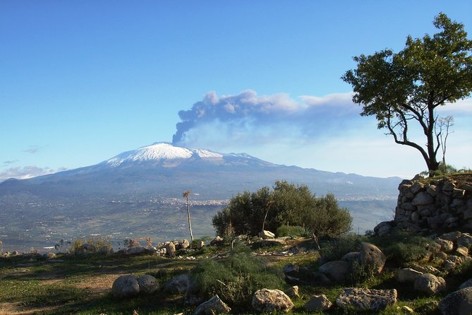 Etna: Trekking to the summit craters at 3,340 meters - The Barbagallo craters and the 2001 eruption