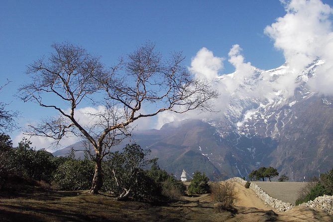 Everest Base Camp - Cho La Pass - Gokyo Trek - The guides and the service behind the trek