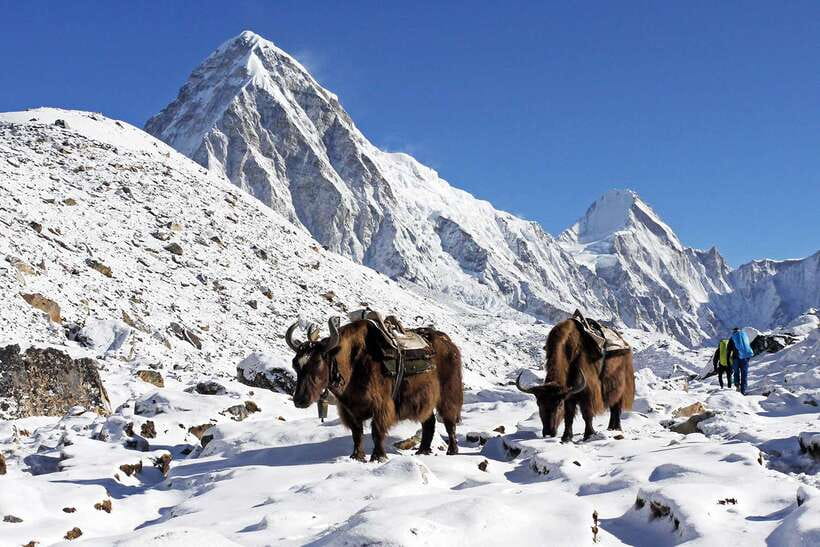 Everest Base Camp Short Trek- 12 Days - Everest Base Camp is a long day, not a quick photo stop