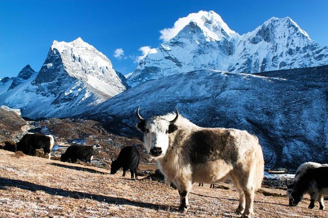 Everest Base camp Trek-12 days - Key facts before you book
