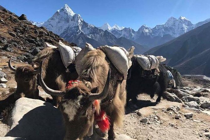 Everest Base Camp Trek 12 Days – Best Himalayan Adventure - Kala Patthar and the mountain views