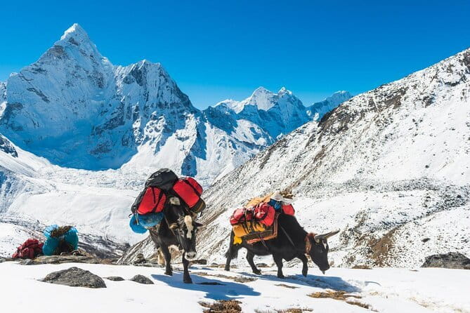 Everest Base Camp Trek - 14 Days - Everest Base Camp at 5,365 meters