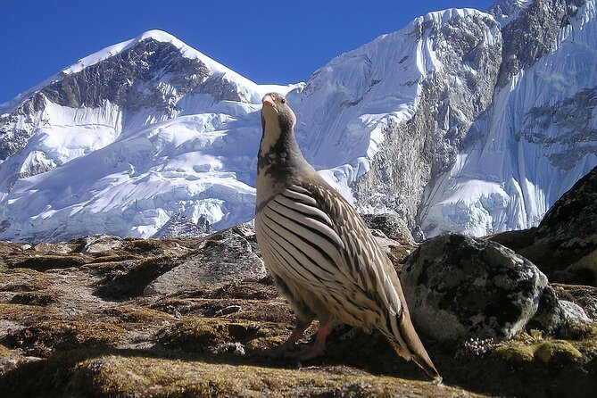 Everest Base Camp Trek with Kathmandu Valley Sightseeing Tour - Reaching Everest Base Camp