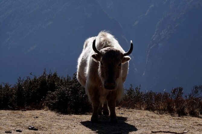 Everest Base Camp Trekking - 2025/2026 - Day 3: Phakding to Namche Bazaar